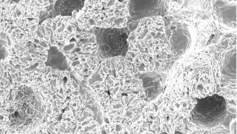 FOTO-1-1-e1613052901184