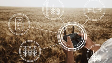 man-farmer-standing-in-wheat-field-and-controlling-drone-technologies-in-agriculture-concept-scaled-1