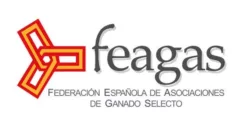 logo feagas