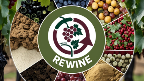 rewine