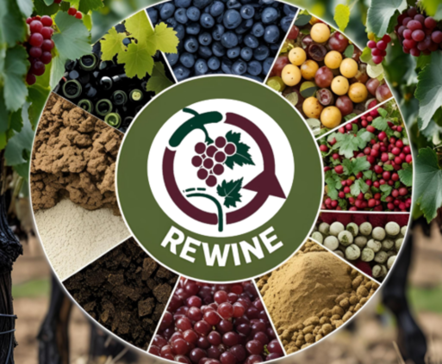 rewine