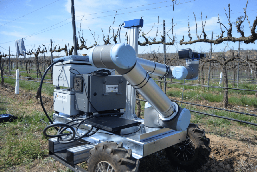 ROBOTRIM: Automated Pruning for Vineyards - ATRIA Innovation