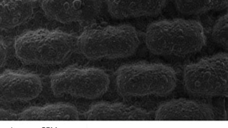 67_1_512x341-1