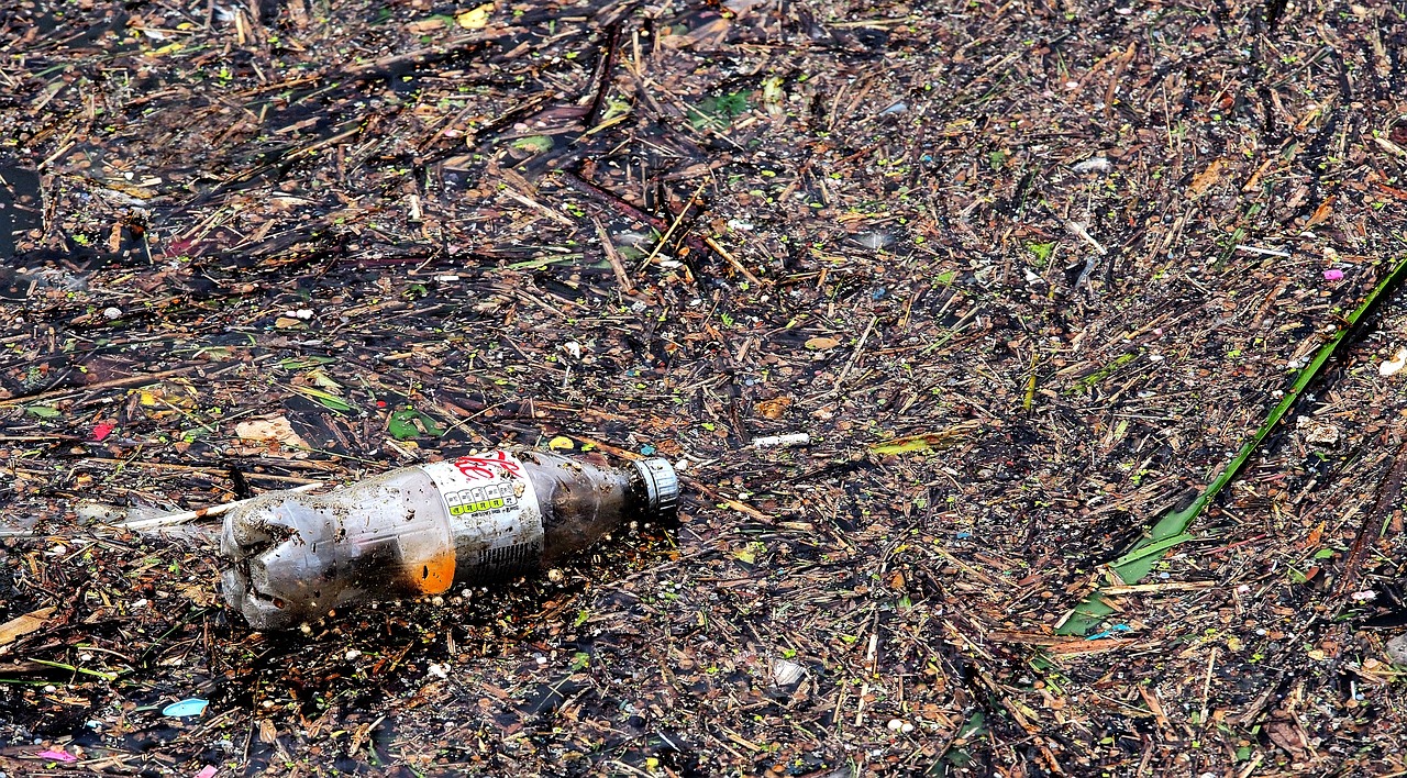 How to know if a product is biodegradable? The biodegradability test ...