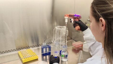 Ensayo eficacia bactericida