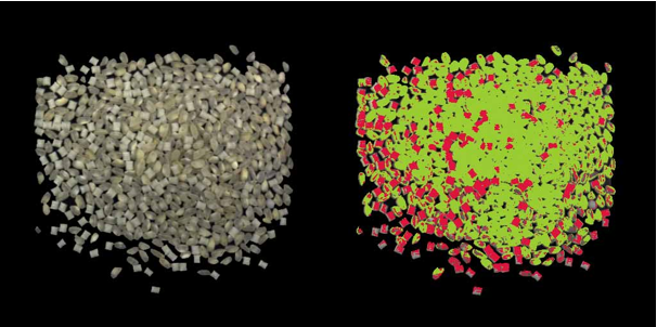 Visión artificial en la industria alimentaria