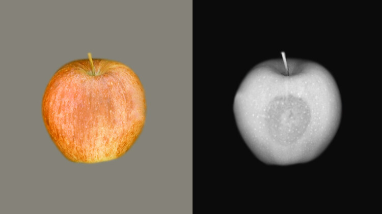 Visión artificial en la industria alimentaria