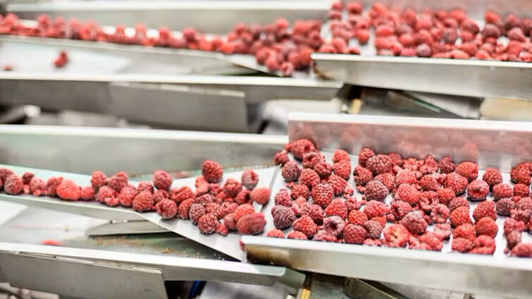 Visión artificial en la industria alimentaria