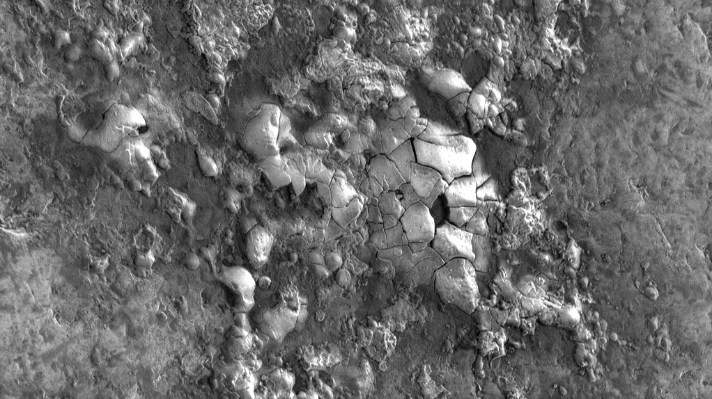 Ensayo de liberación de nanopartículas