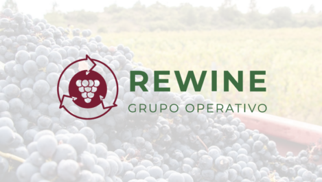 rewine