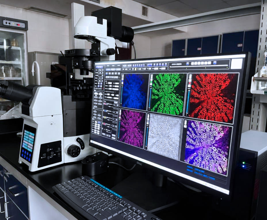 confocal