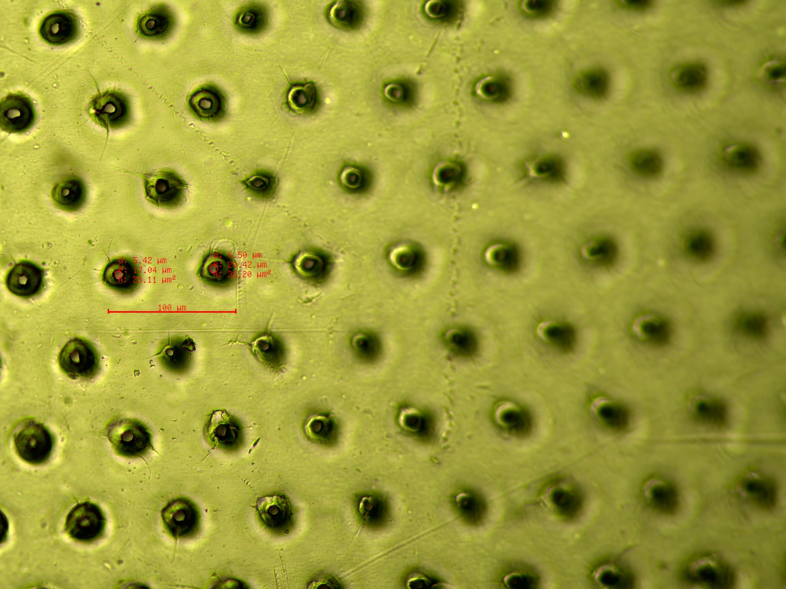 Microperforación de film y plástico