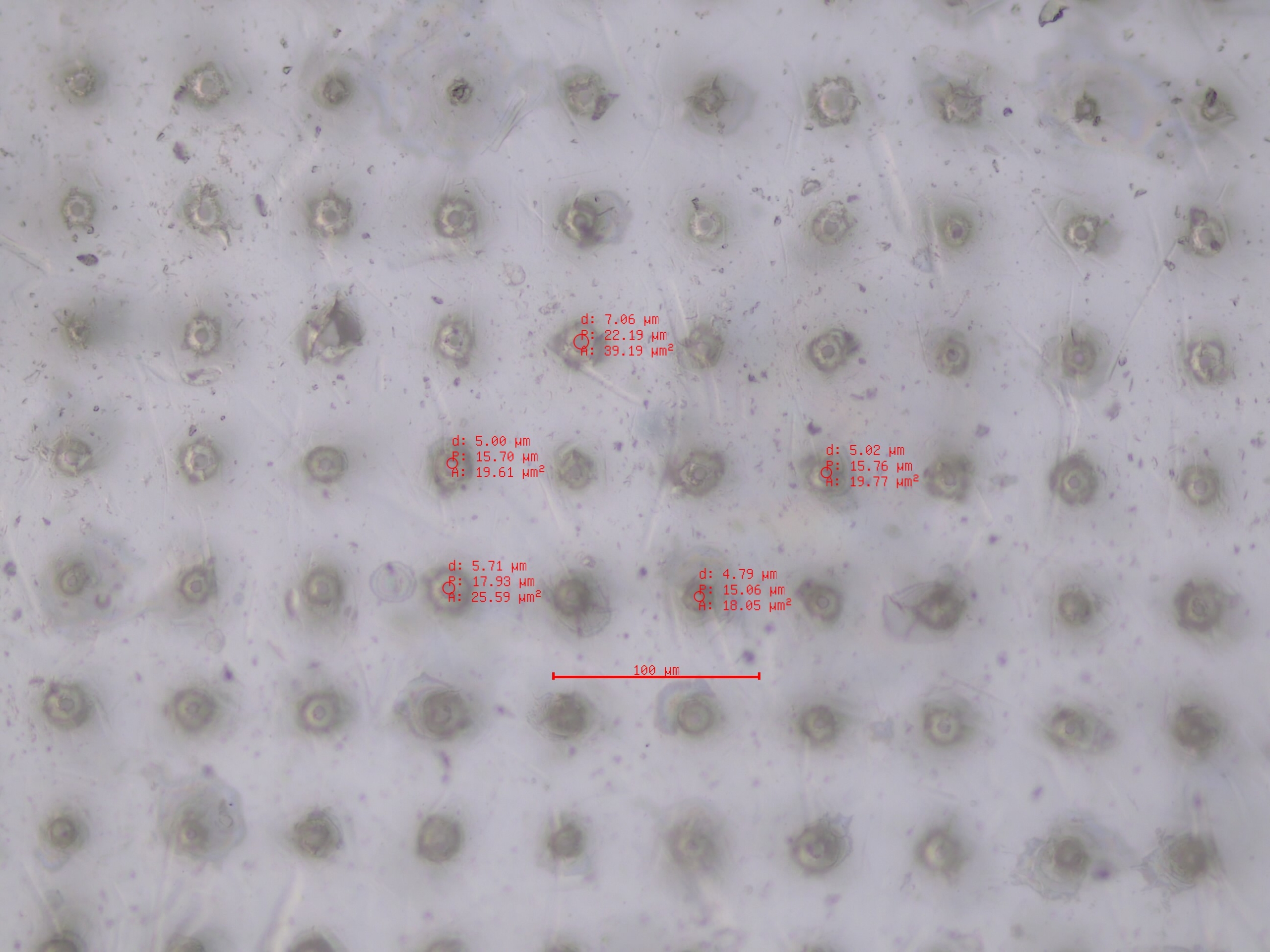 Microperforación de film y plástico
