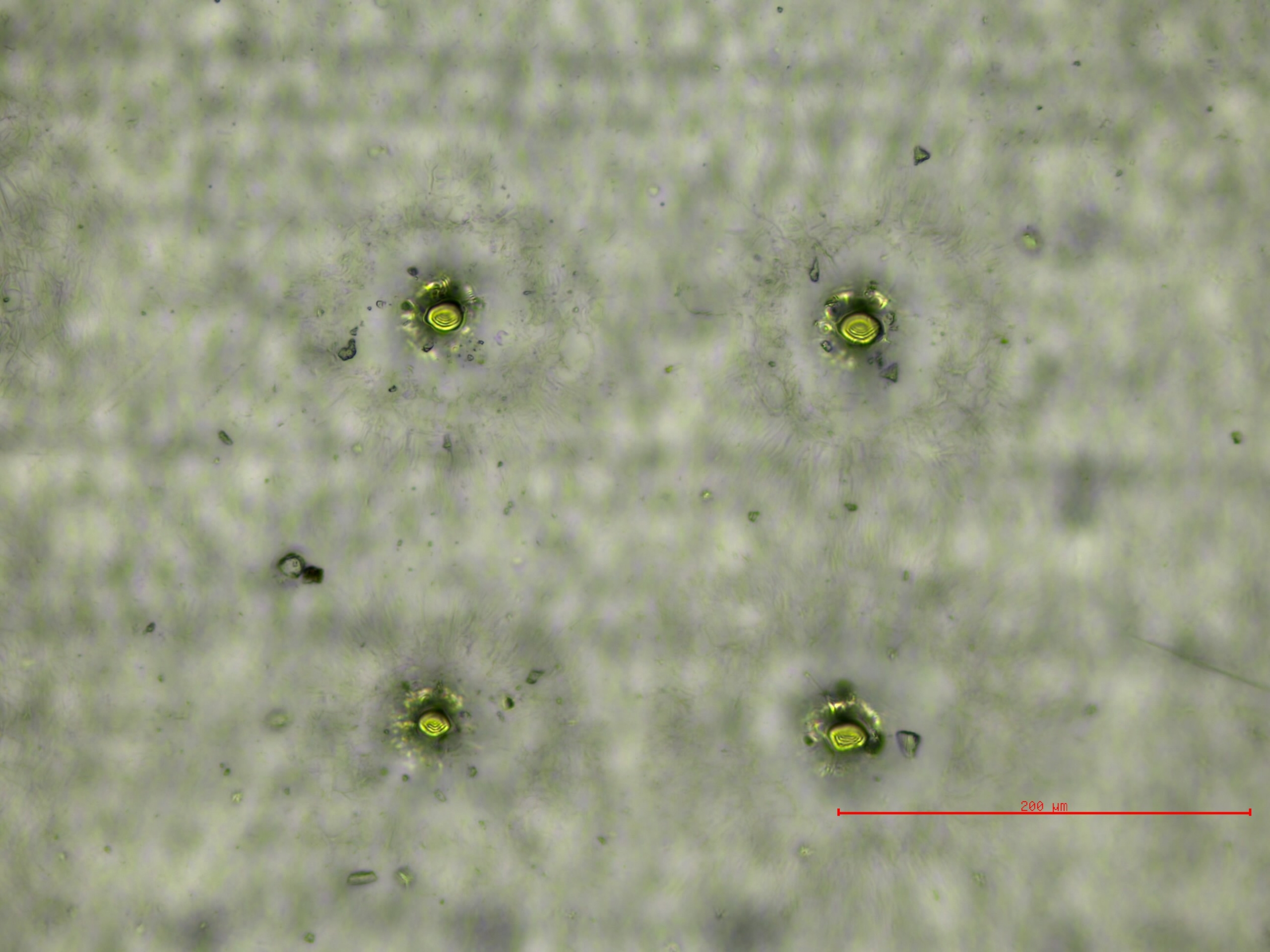 Microperforación de film y plástico