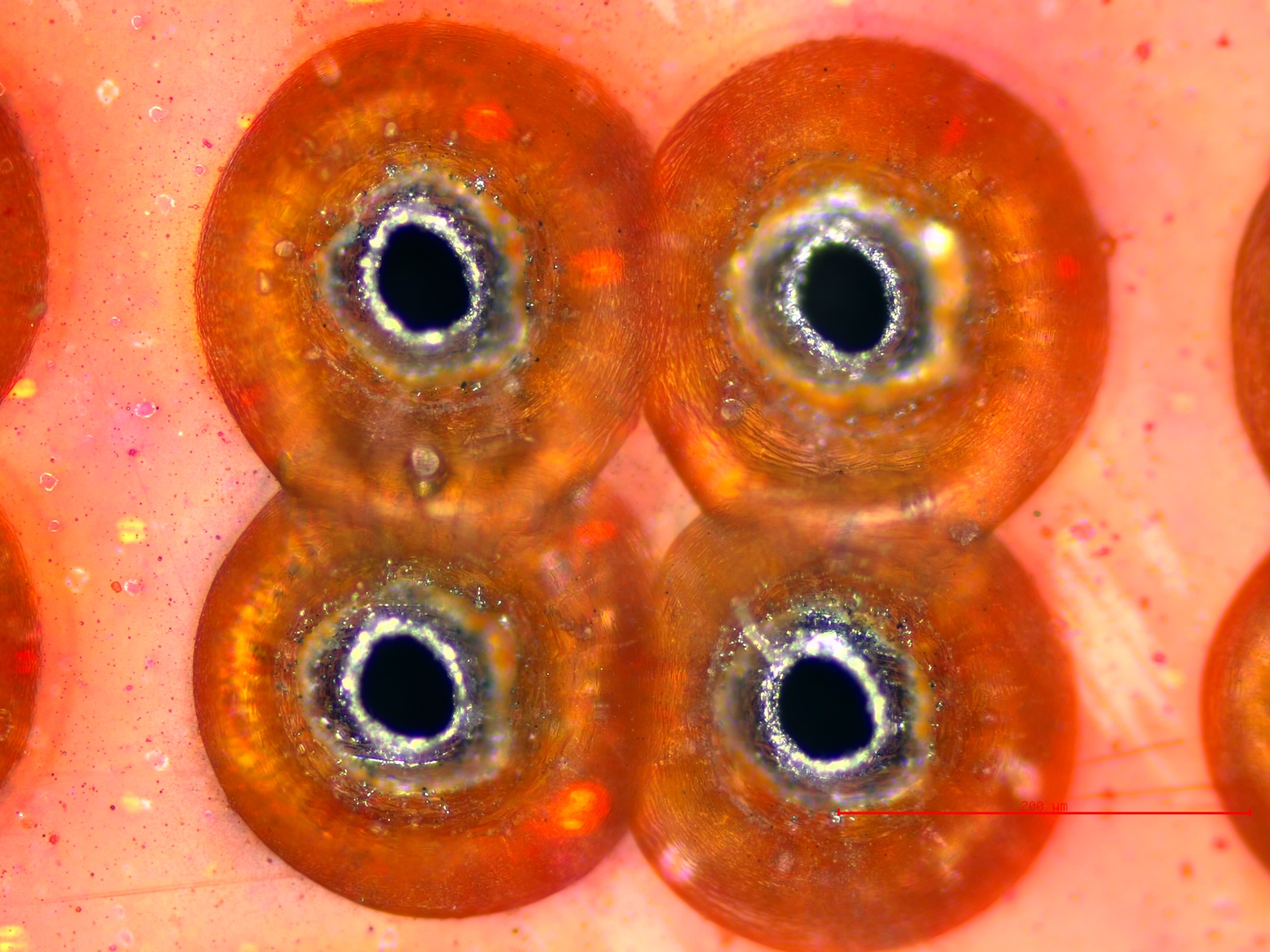 Microperforación de film y plástico